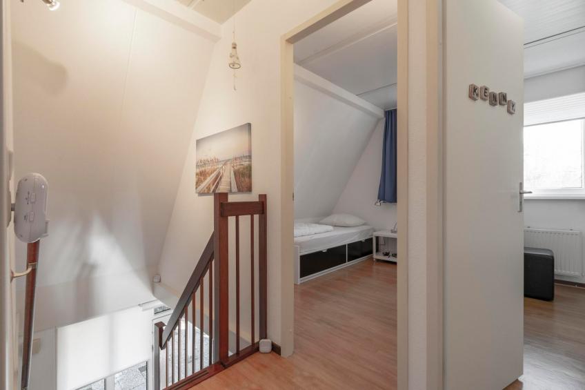 Campanula 52 - foto 19