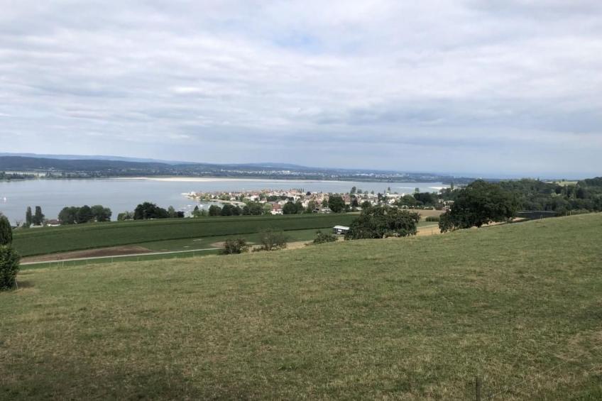 zum Regenbogen in Ermatingen - foto 51