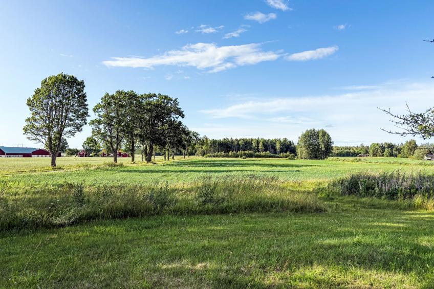 Skyberga Torp - foto 5