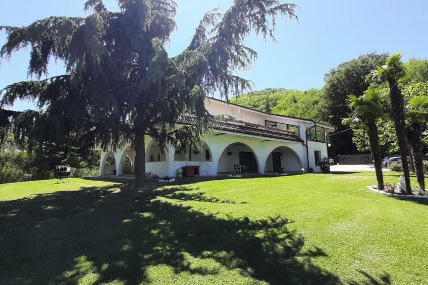 'Dear Peace on the Hill - foto 3