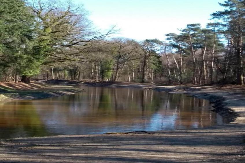 Chalet Egel - foto 30