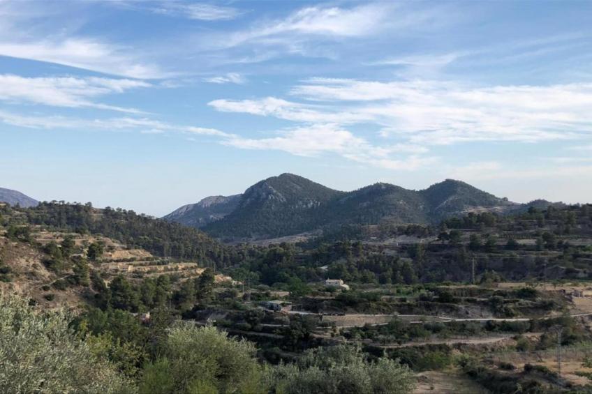 Casa Mediterranea - foto 29