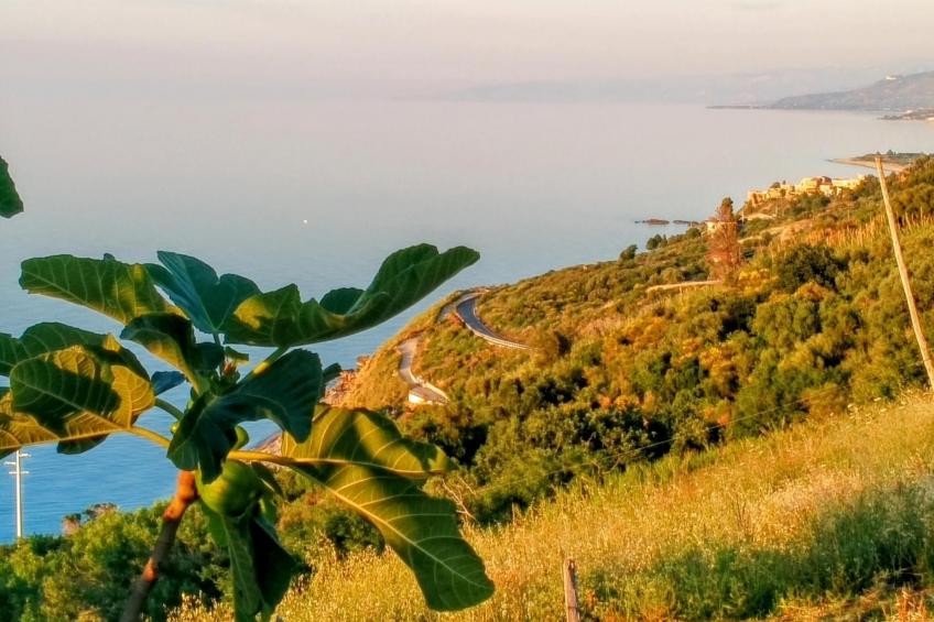 Terramare' Wohnung mit Wasserblick - foto 25