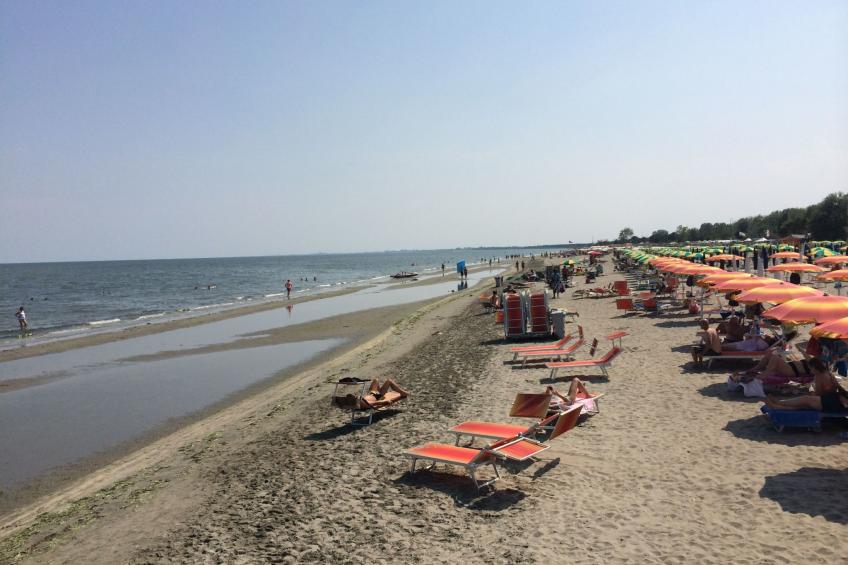 Chalet, Terrasse mit Kamin, privater Garten - foto 4