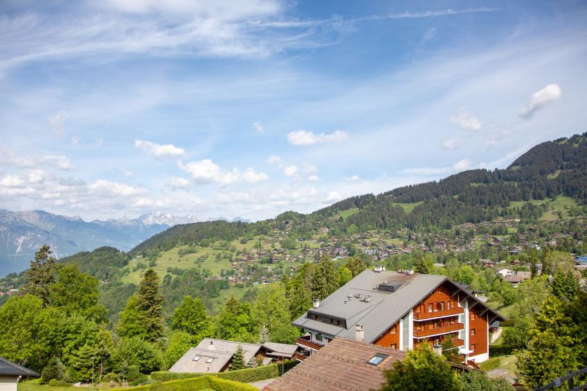 Ambassadeur 1 - foto 5