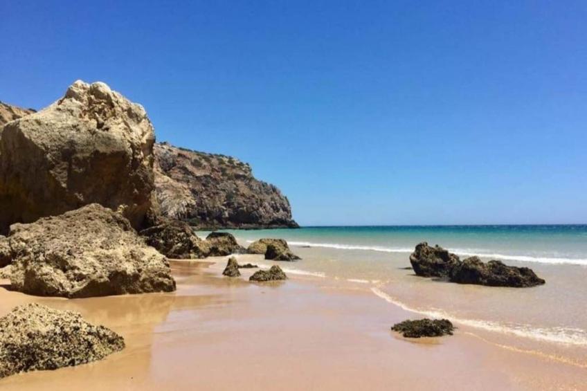 Montanha Vista - foto 24