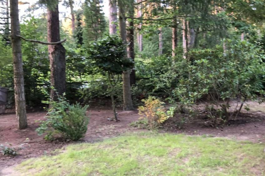 Reetdach Ferienhaus am Lübbesee Sauna Bootsteg neu - foto 30