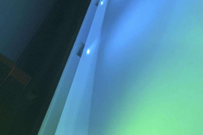 La Finca OliveTree - foto 37