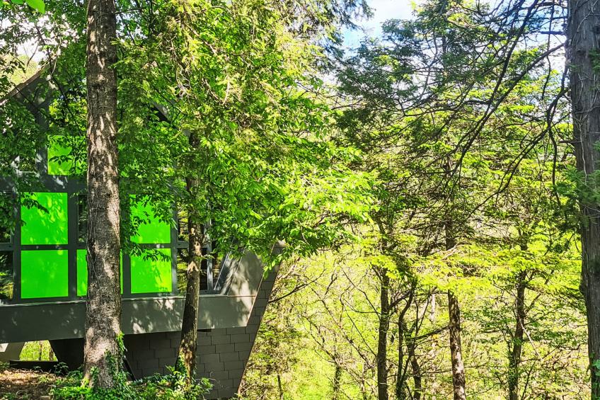 Bosco della Bella - Casa 6 / ZUG - foto 35
