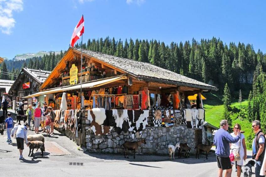 AlpResort Portes du Soleil - foto 31