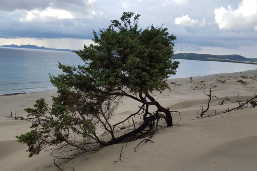Villa dei Pescatori am Meer - foto 13