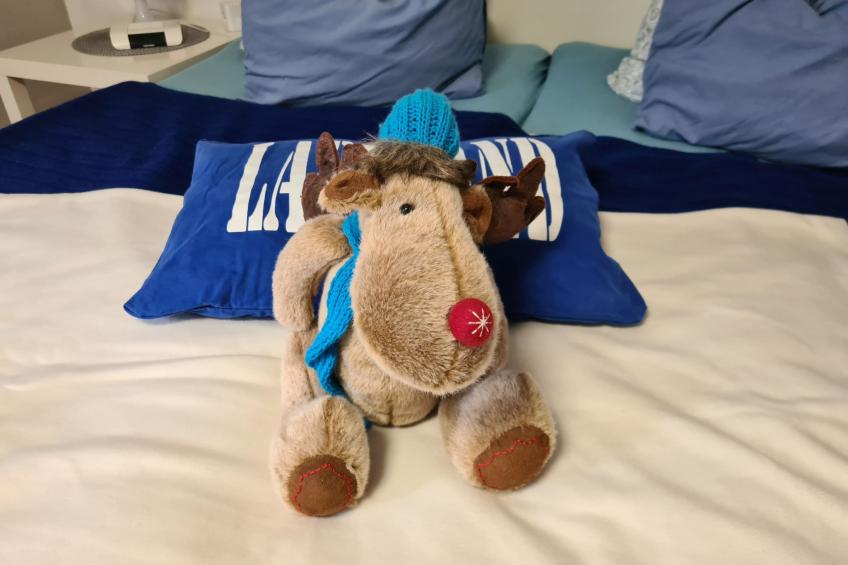 Haus-Lappland - foto 15