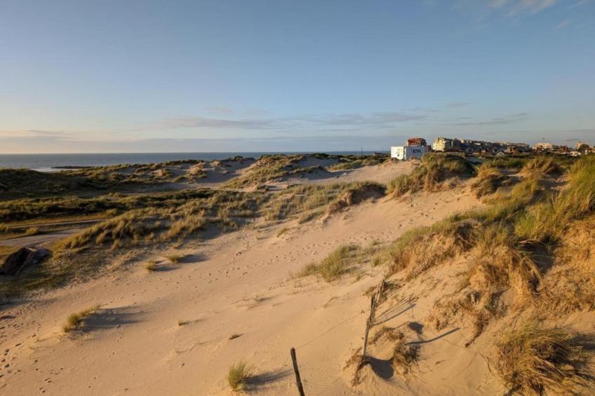 DECUMAN / 0401 - foto 38