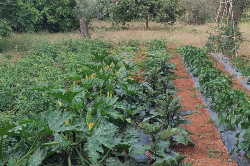 Villa Barone Landhaus mit Pool - foto 39