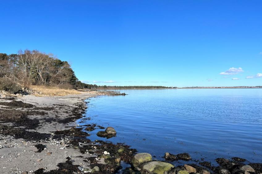 "Toska" - 100m to the inlet in Sealand - foto 22