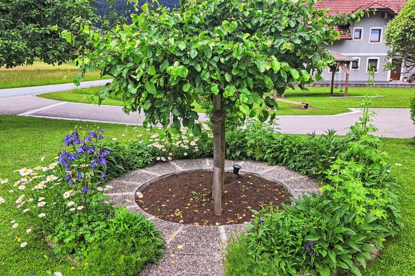 Gasthaus Waldfrieden, 2. Etage (MON261) - foto 34