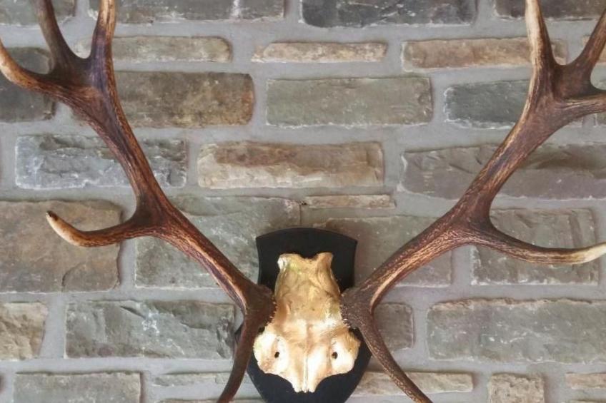 in Zendscheid mit Offenem Kamin - foto 12