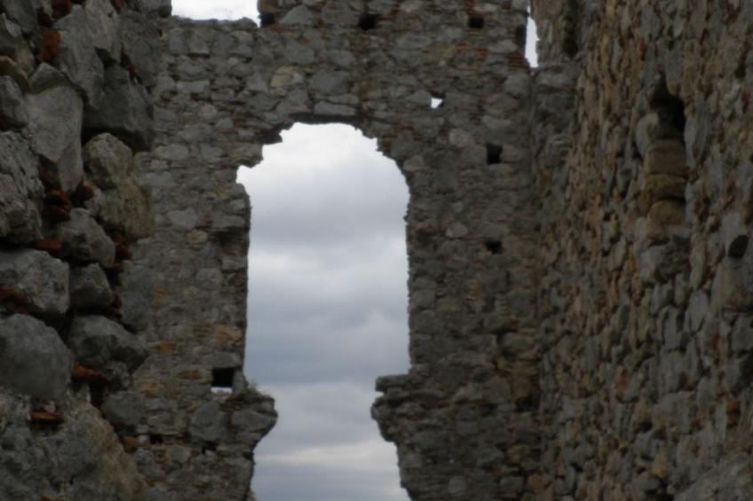 Studio mit Garten - foto 49