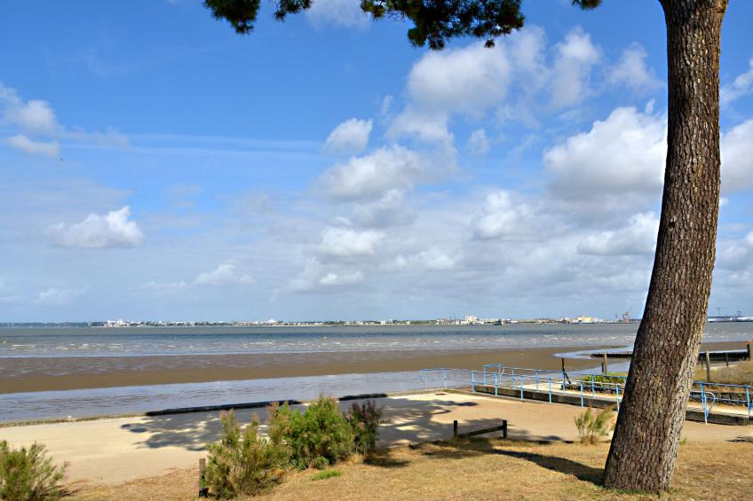 La Rose des Pins - foto 34