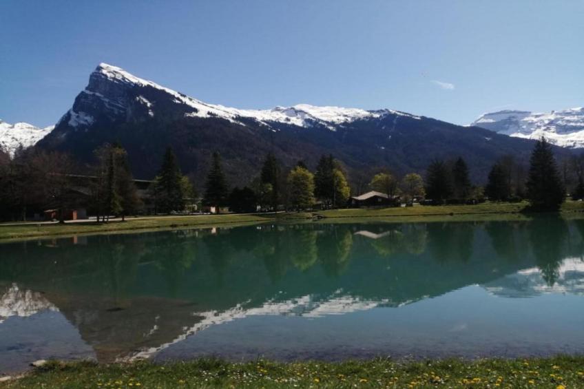 Grande Neige N°44 - 2P4 - foto 28