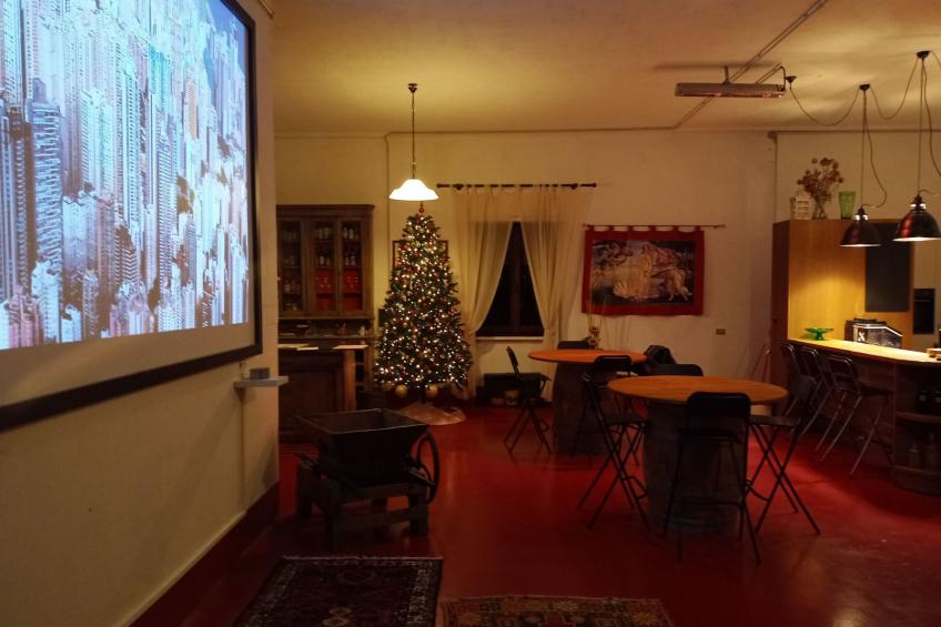 Flache Kornblume - foto 36