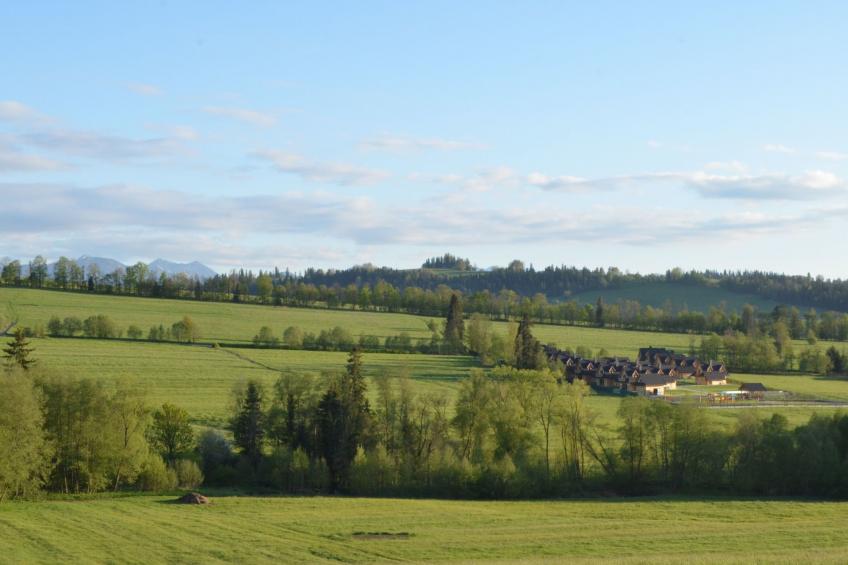 Krokus Tal Dorf unter der Tatra - foto 35