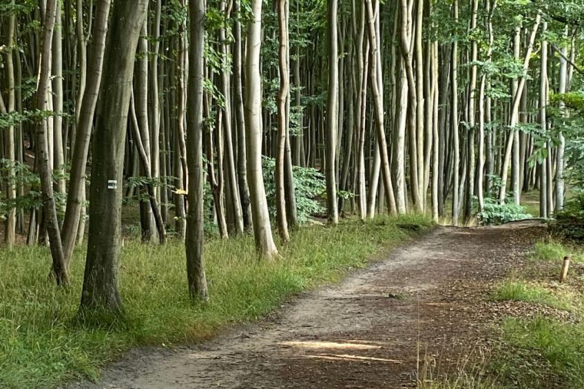 Leuchtturm - foto 19