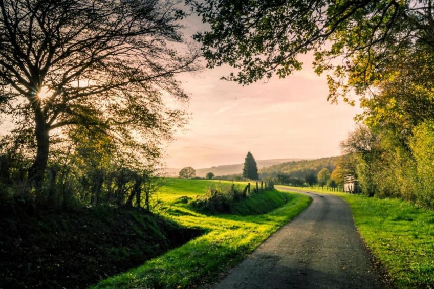 Le Pigeonnier - foto 37