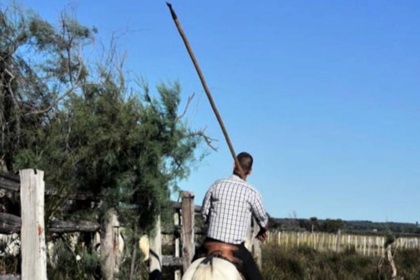 Résidence Le Studio De La Lagune: Studio Cabine Proche De La Plage - foto 21