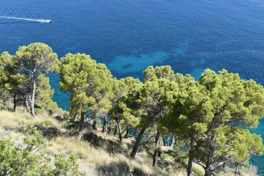 Schöne Ferienwohnug - foto 25