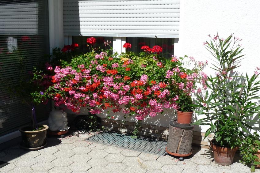 Haus Helga - foto 35
