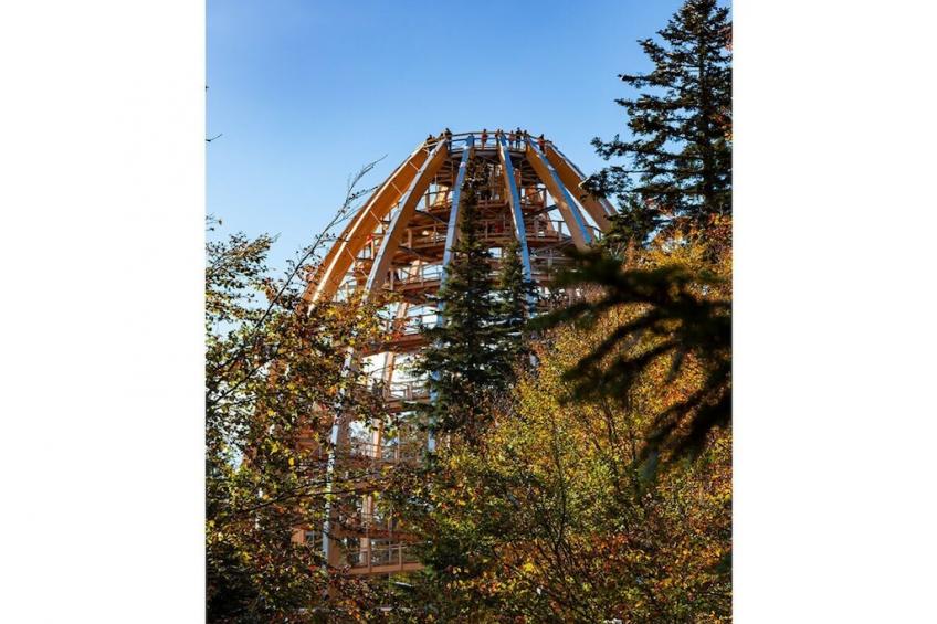 268076 - foto 18