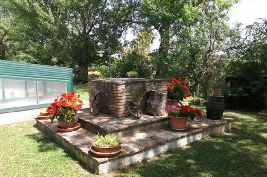 Das Olivenhaus - foto 8