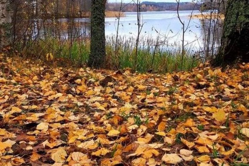 Willkommen im Stable House - foto 32