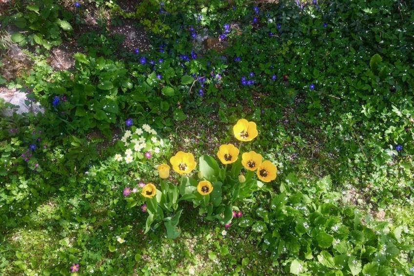 Casa Marili, das charmante Ferienhaus - foto 7