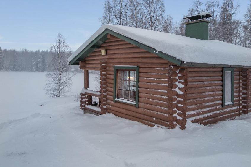 Palokärki - foto 26