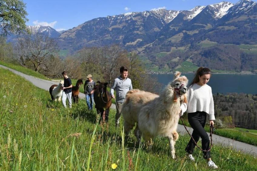 Holzhaus auf Lamahof - foto 5