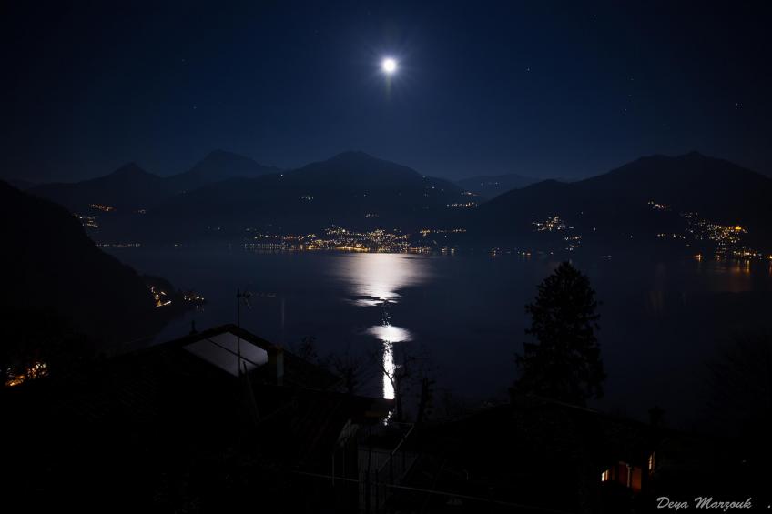 Le Petit Palais Villa - foto 34