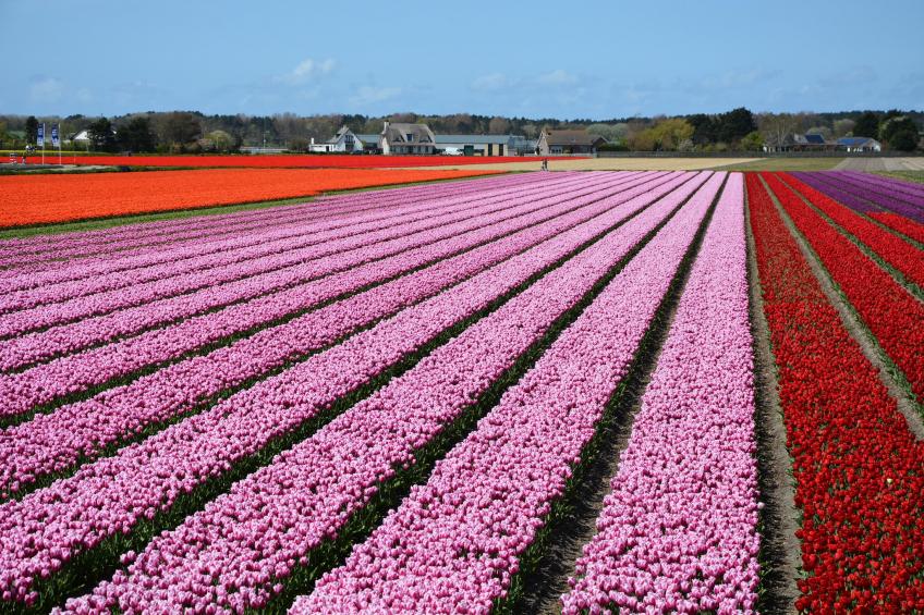 Marie aan Zee - foto 29