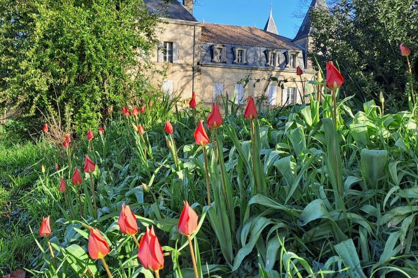 Der Pavillon - im Park des Schlosses Lescaut - foto 40
