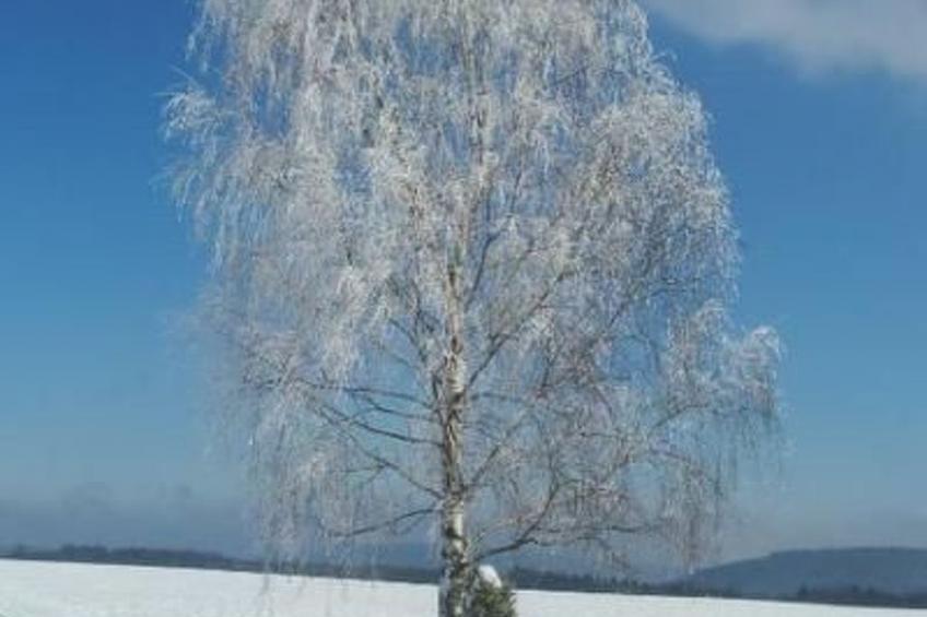 Miltenberg - foto 20
