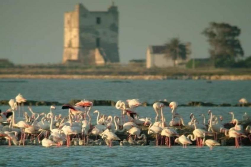 Appartamento Martina Franca - Centro Storico - foto 39