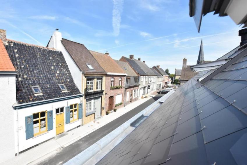 Hommelhove - foto 21