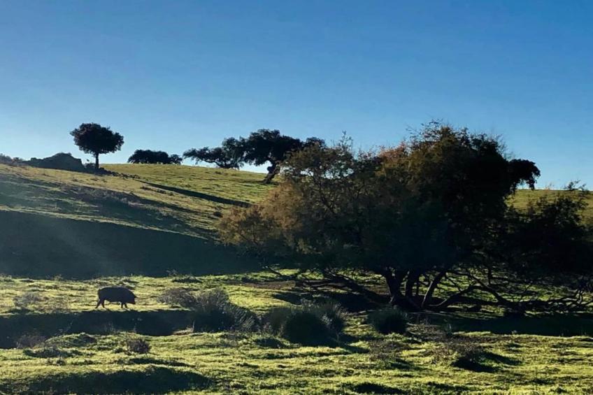 Villapark Ehzerburg 2 - foto 21