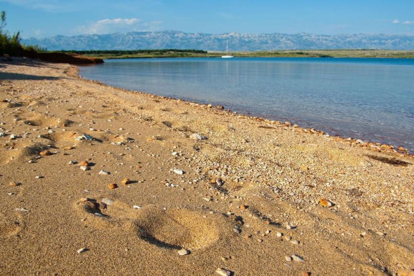 "Jeger" mit Terrasse - foto 28