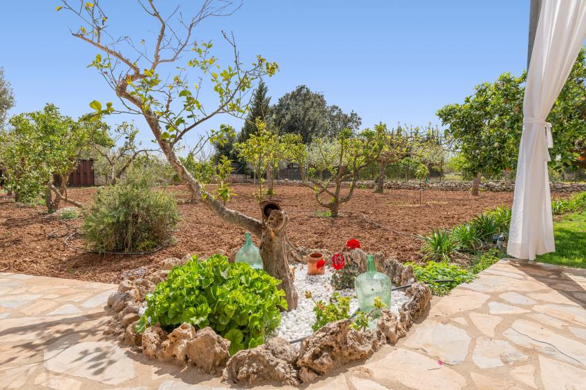 Sa Caseta (bÚger) - foto 34