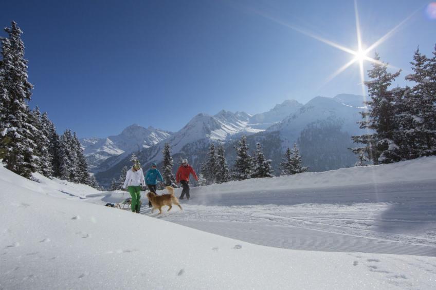 Ötztaltor in Sautens - foto 38