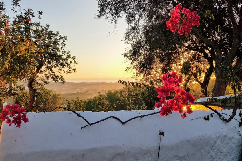 Finca Planetas - foto 48