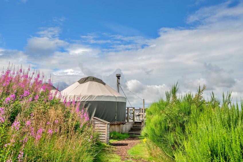 Bramble Yurt - foto 15