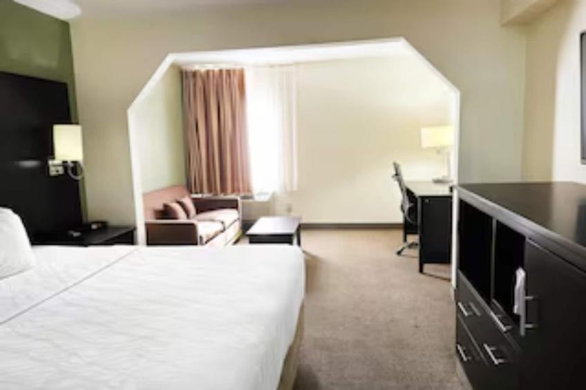 Suite - King Bed